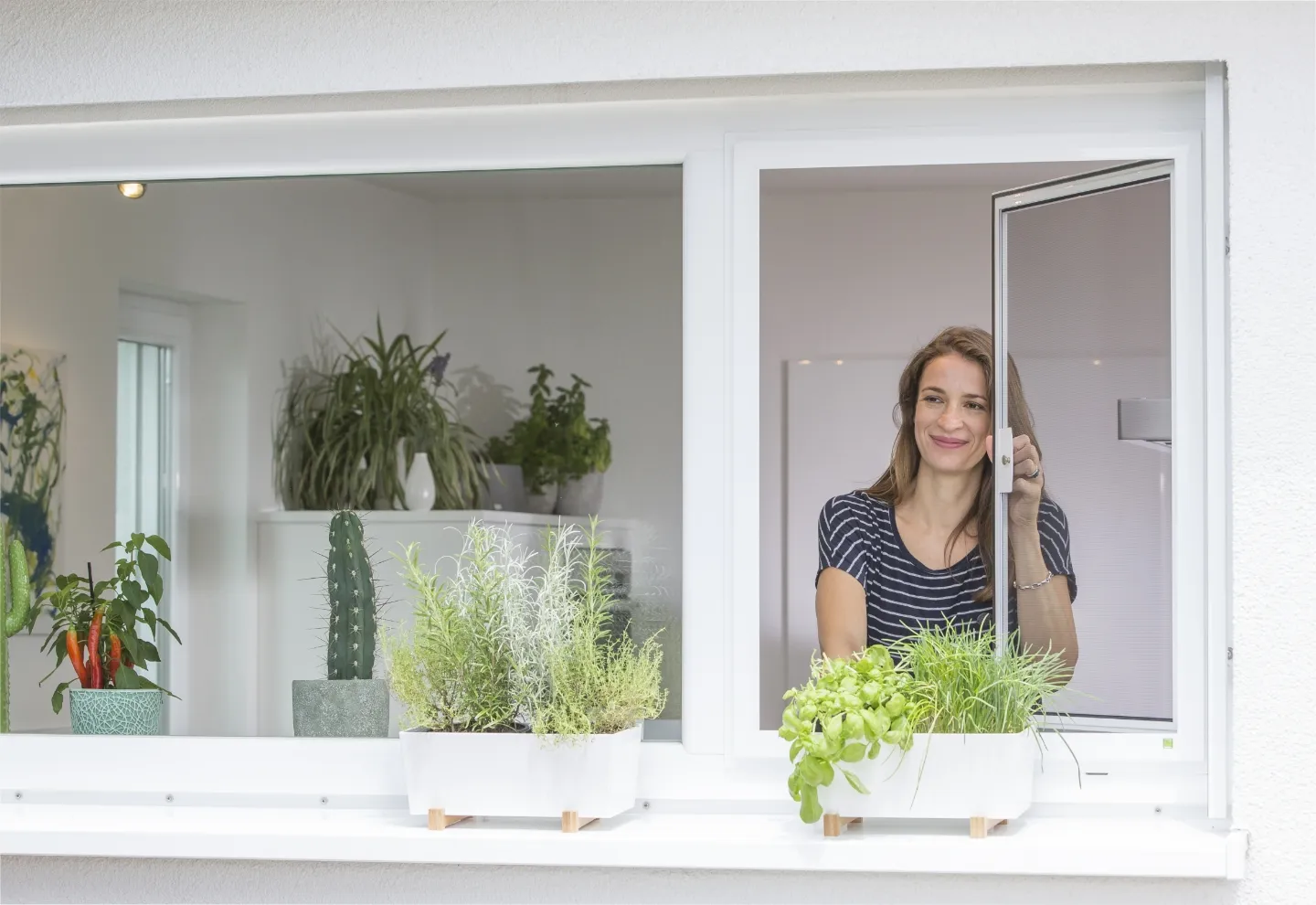 Fenster mit Insektenschutz von Neher, Kräutertöpfe auf der Fensterbank